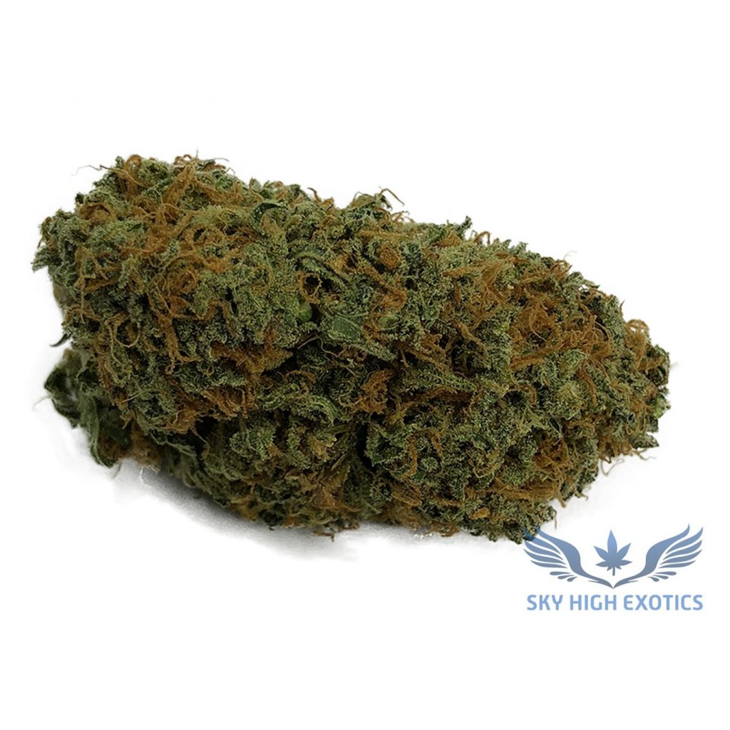 Sky High Exotics