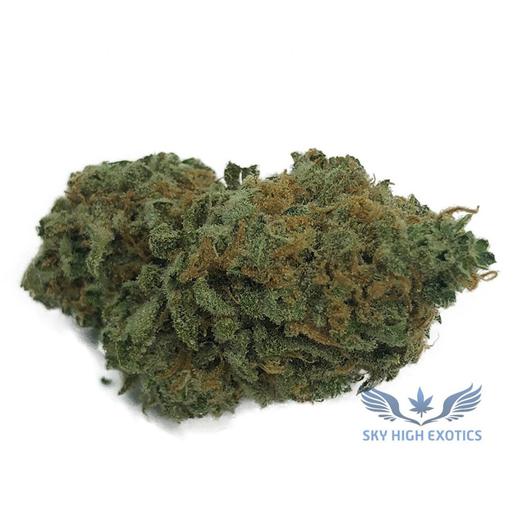 Sky High Exotics