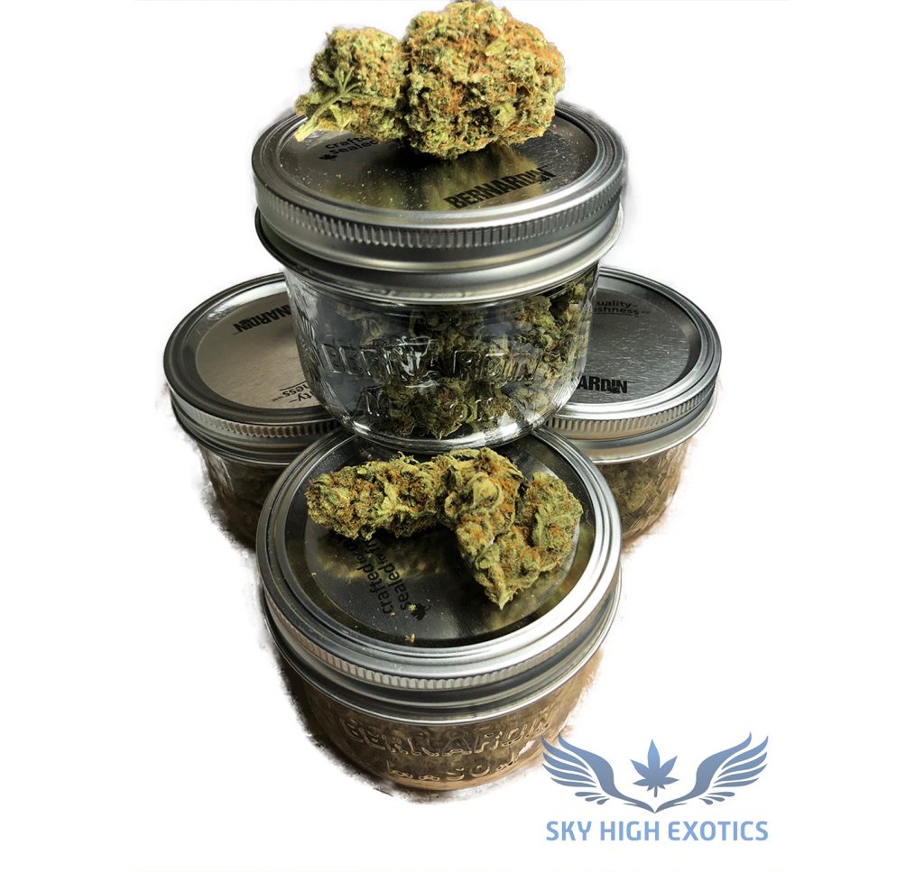 Sky High Exotics