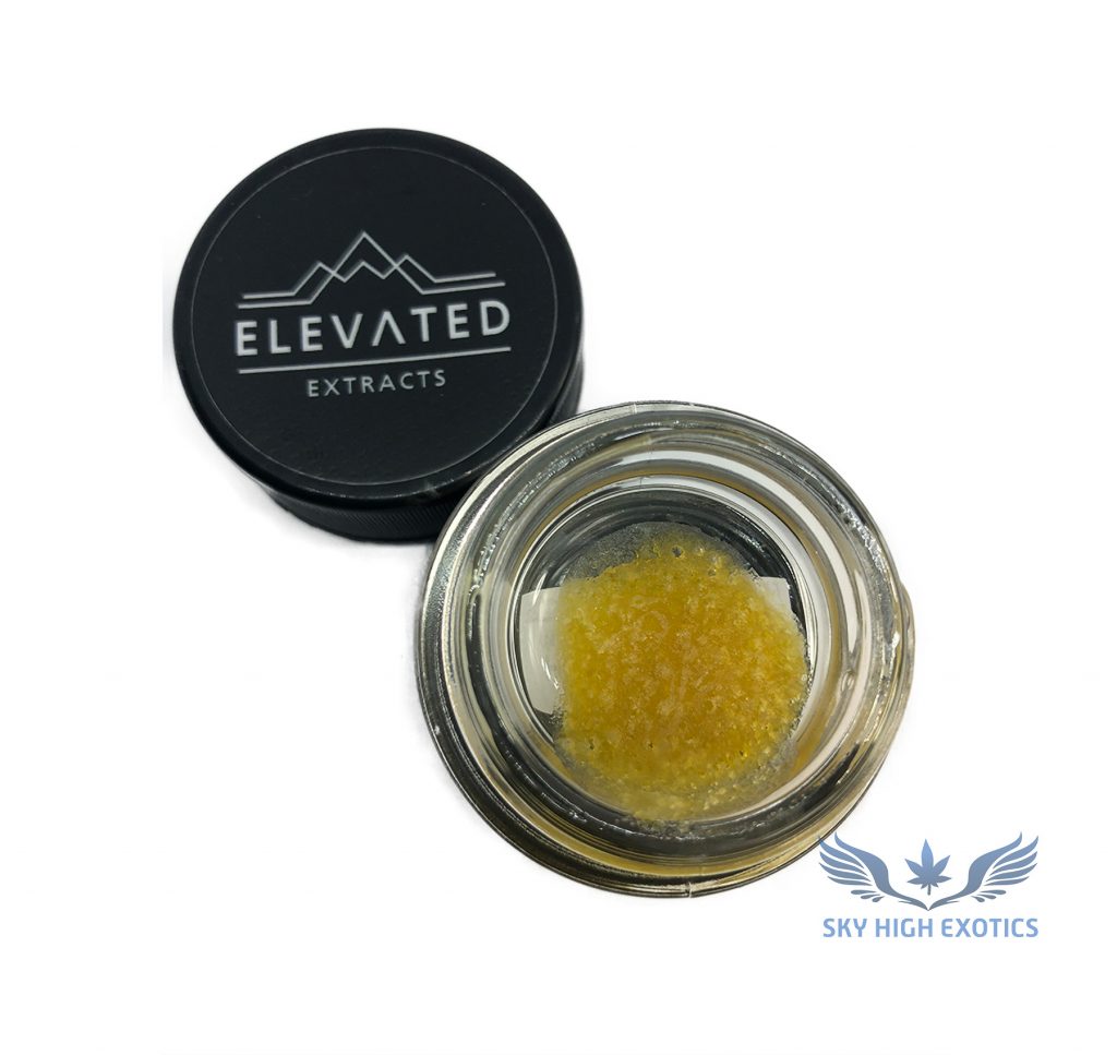 Sky High Exotics