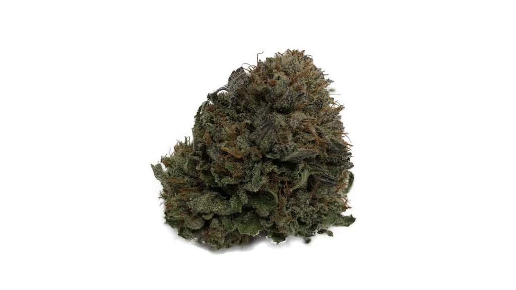 Sky High Exotics