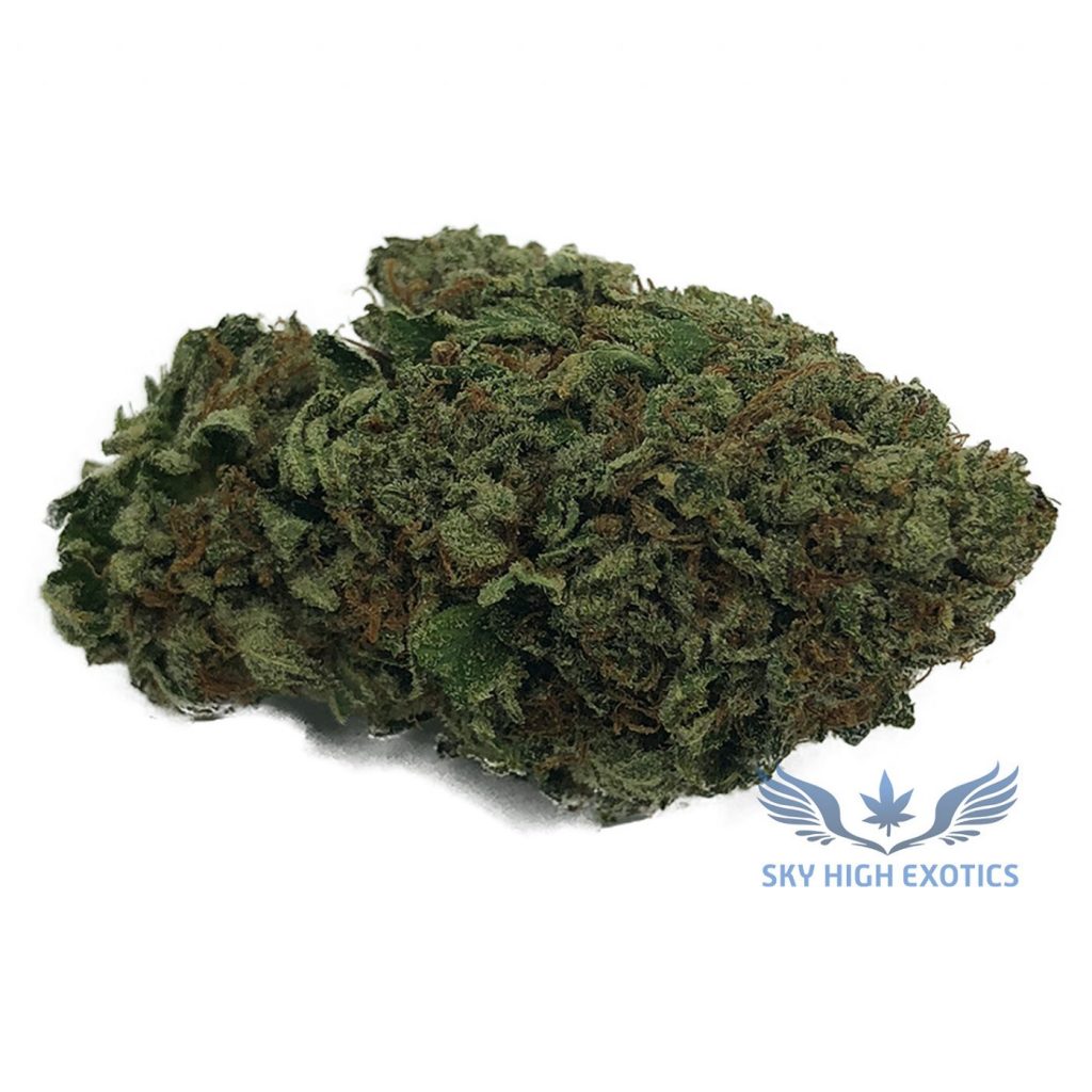 Sky High Exotics