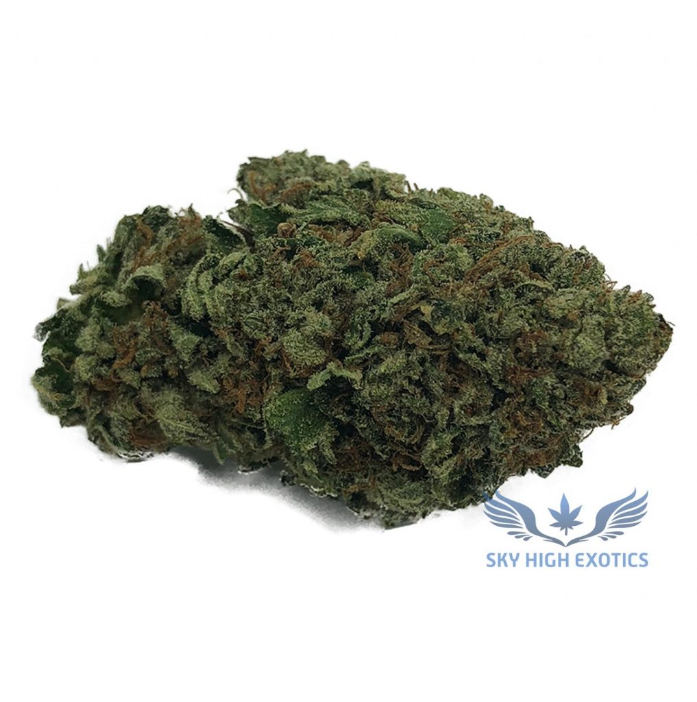 Sky High Exotics