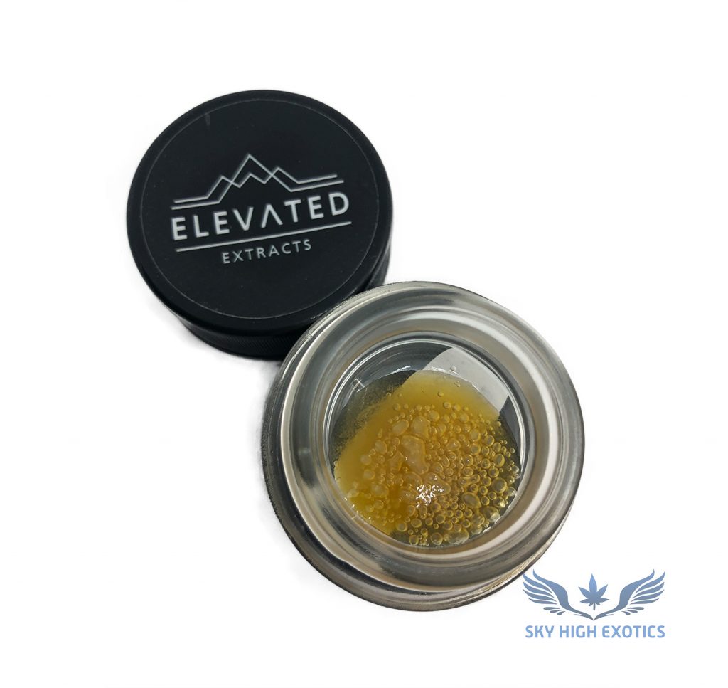 Sky High Exotics