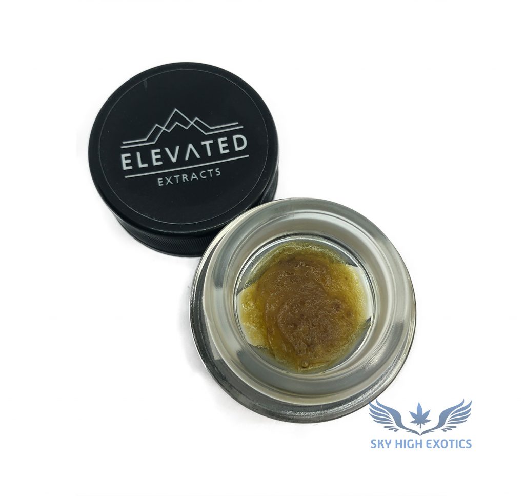 Sky High Exotics
