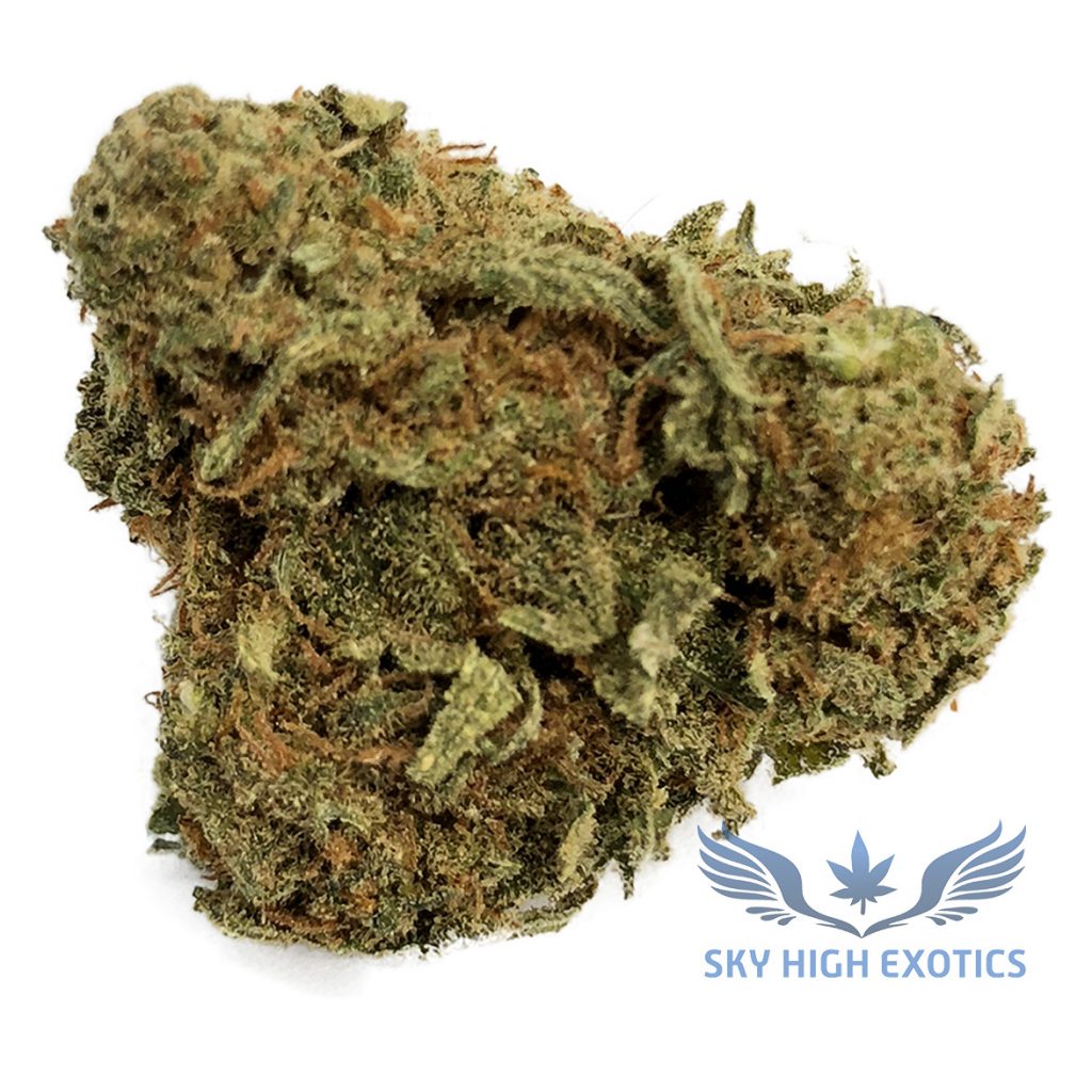 Sky High Exotics