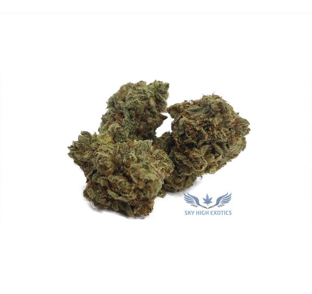 Sky High Exotics