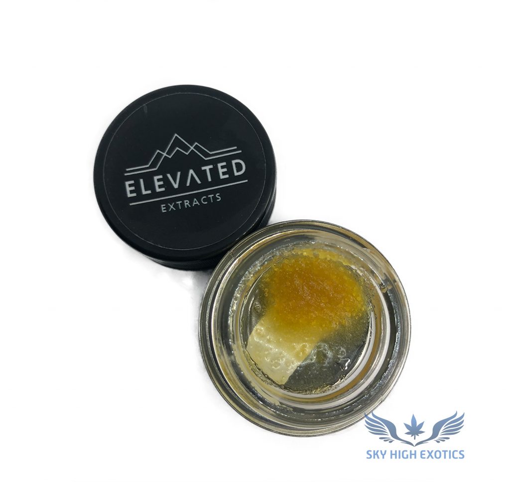 Sky High Exotics