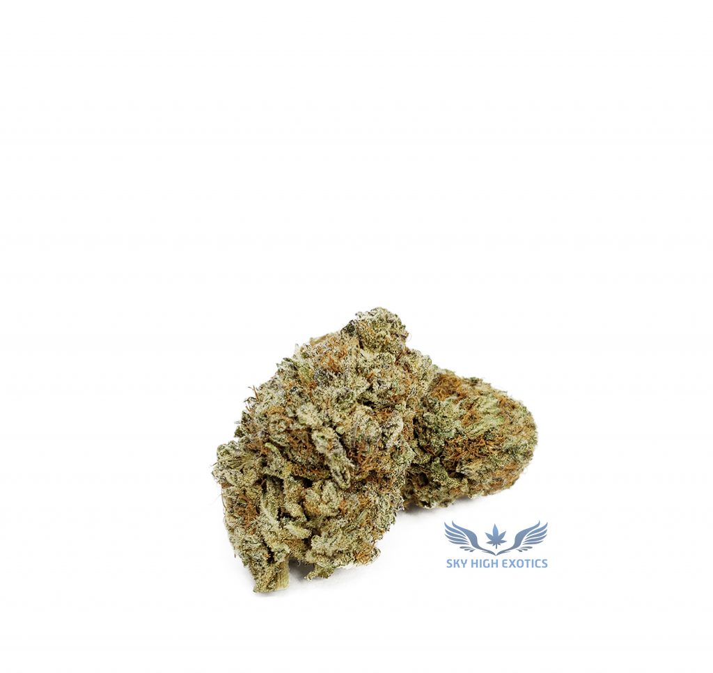 Sky High Exotics