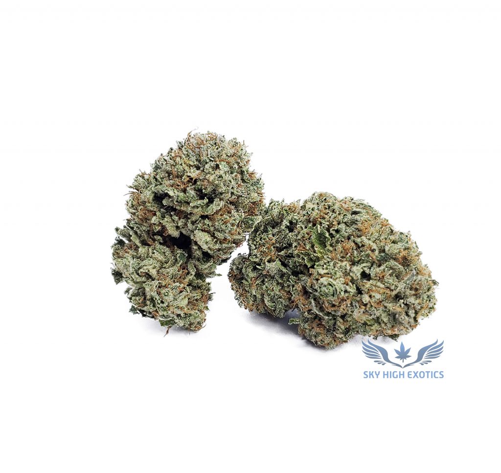 Sky High Exotics