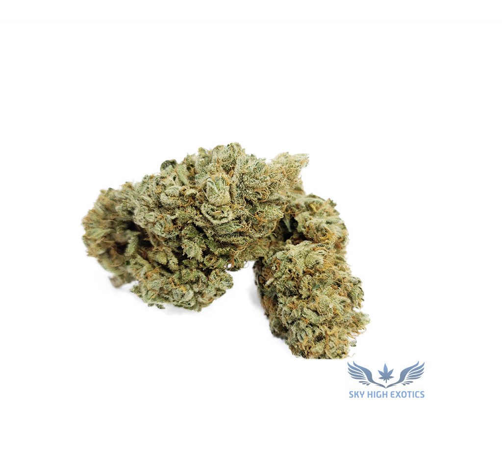 Sky High Exotics