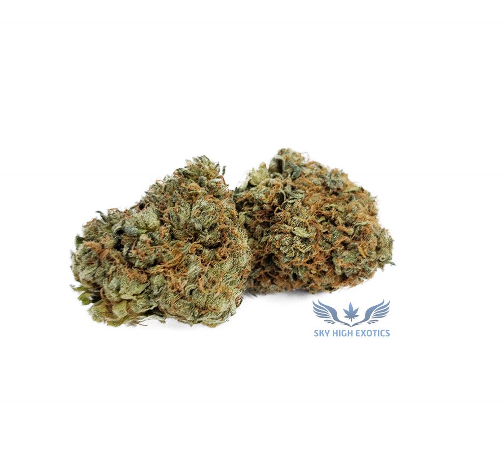 Sky High Exotics