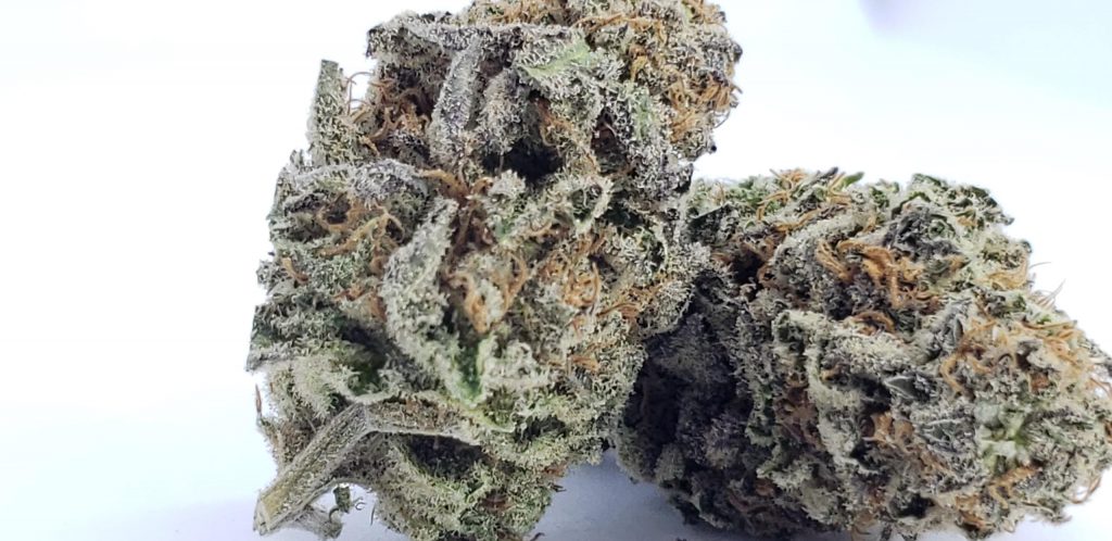 Sky High Exotics