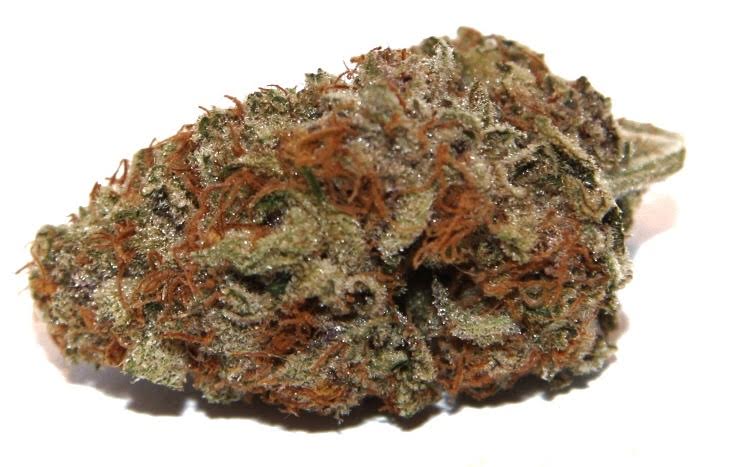 Sky High Exotics