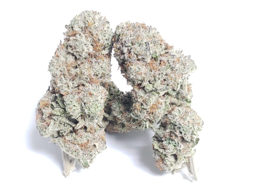 Sky High Exotics