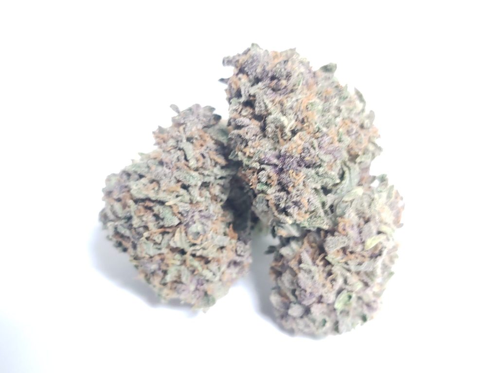 Sky High Exotics