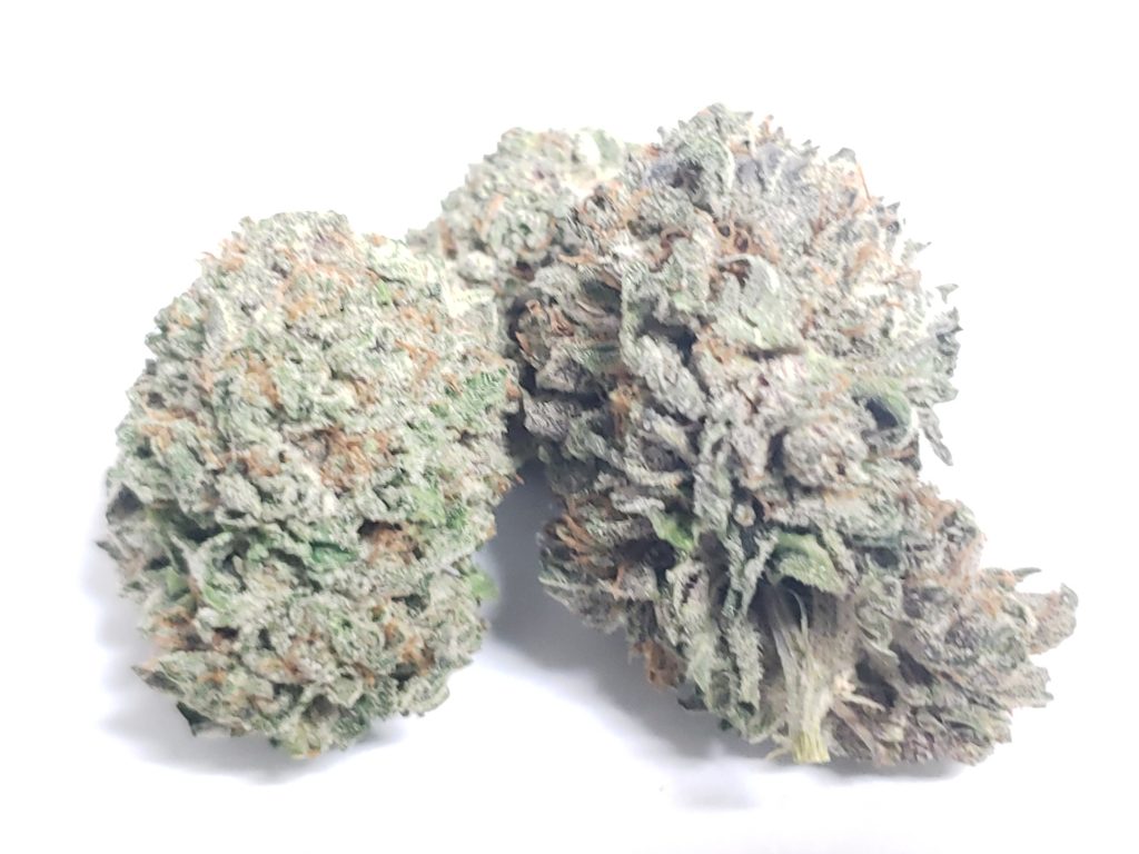 Sky High Exotics