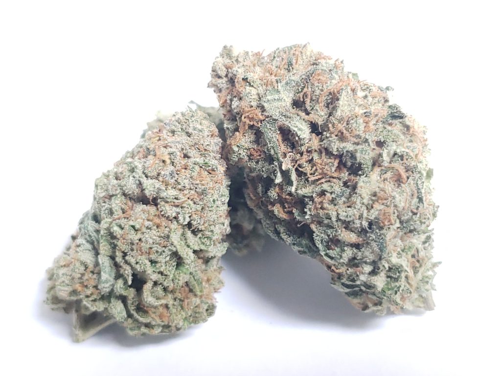 Sky High Exotics