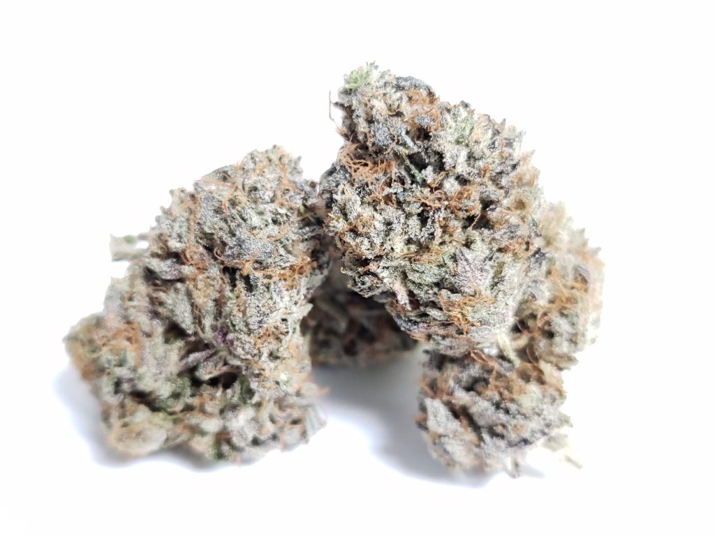 Sky High Exotics