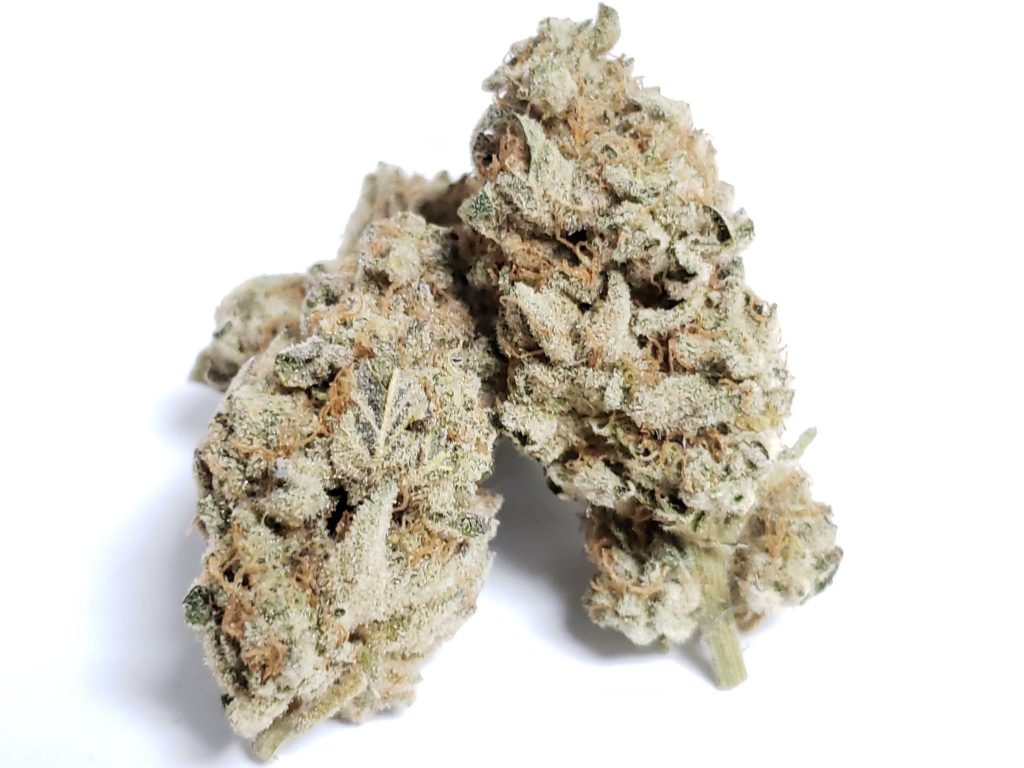Sky High Exotics