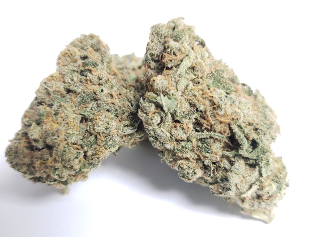 Sky High Exotics