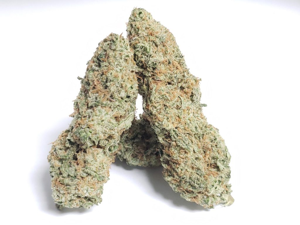 Sky High Exotics