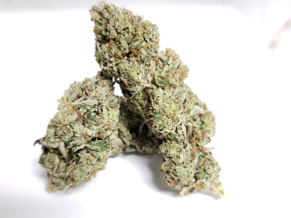Sky High Exotics