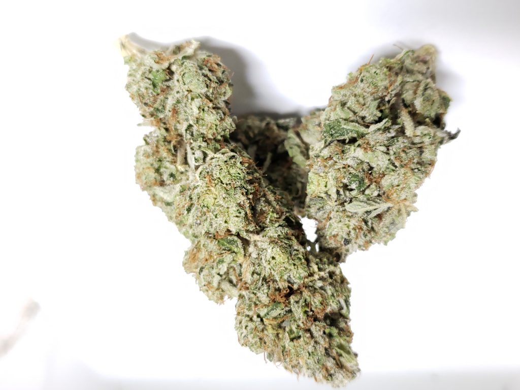 Sky High Exotics