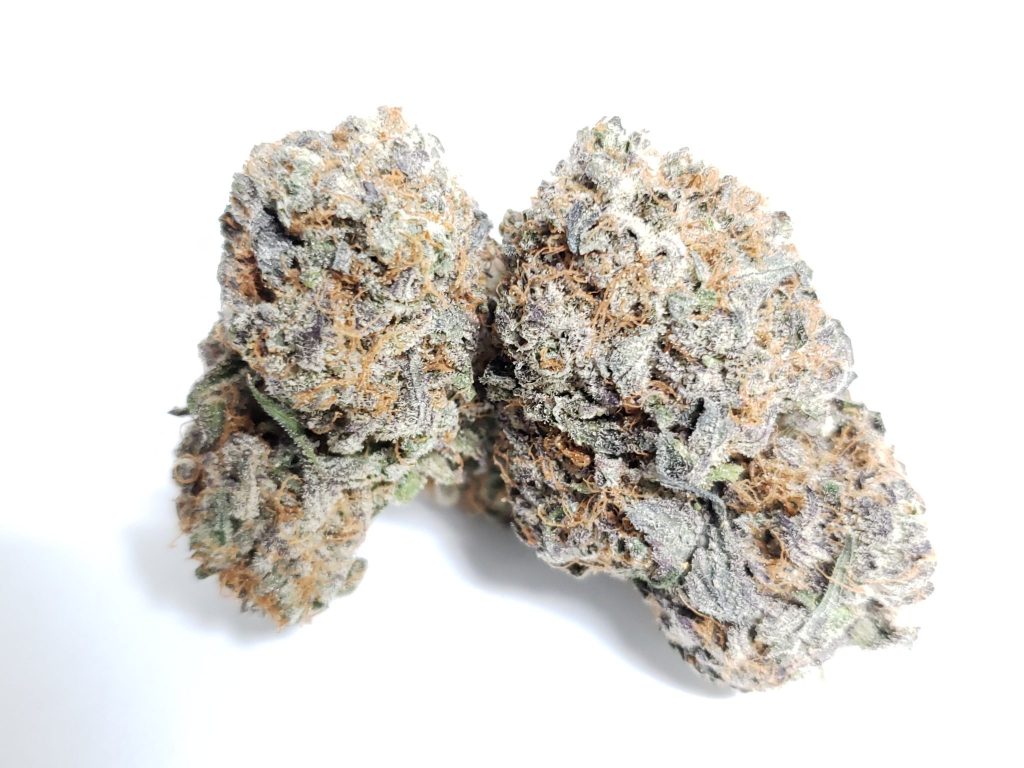 Sky High Exotics