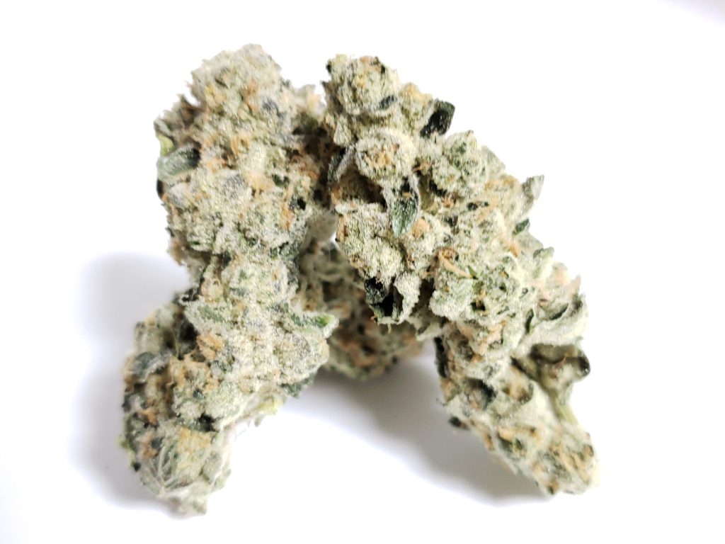 Sky High Exotics