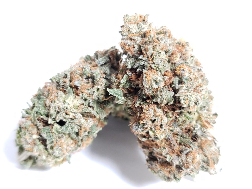 Sky High Exotics