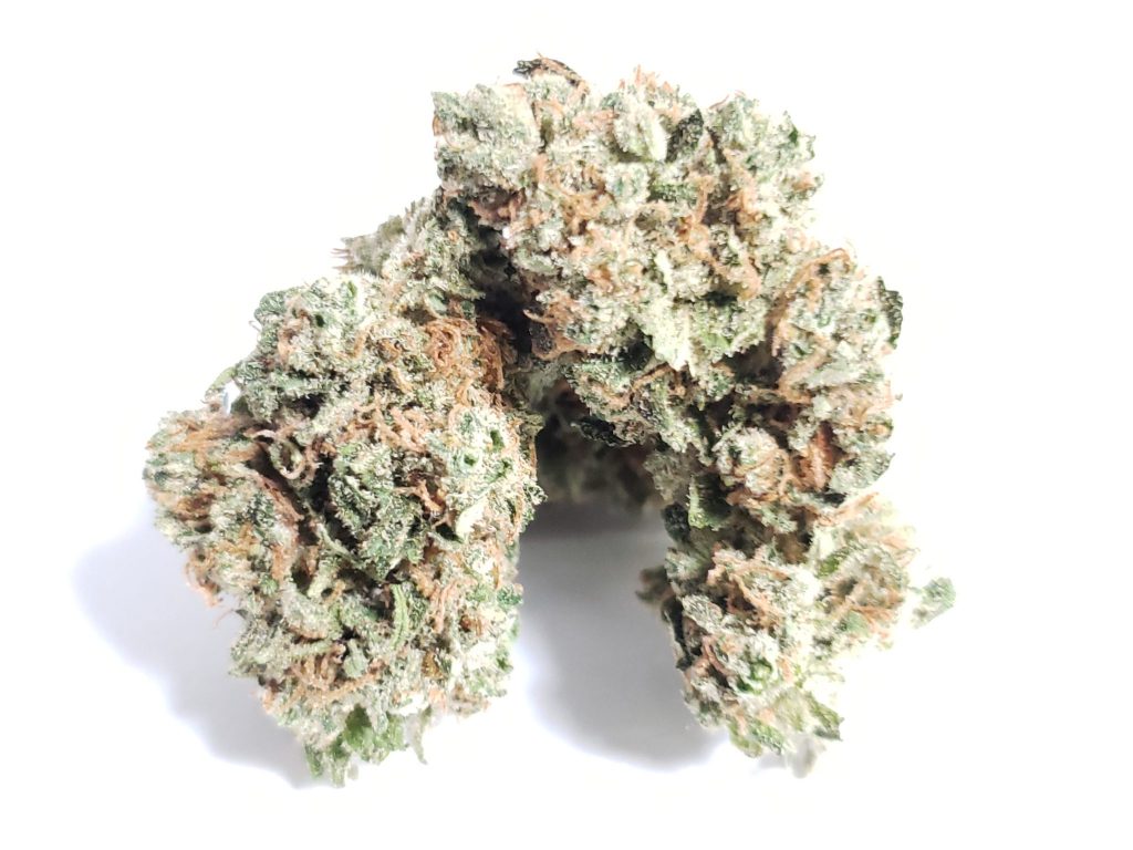 Sky High Exotics