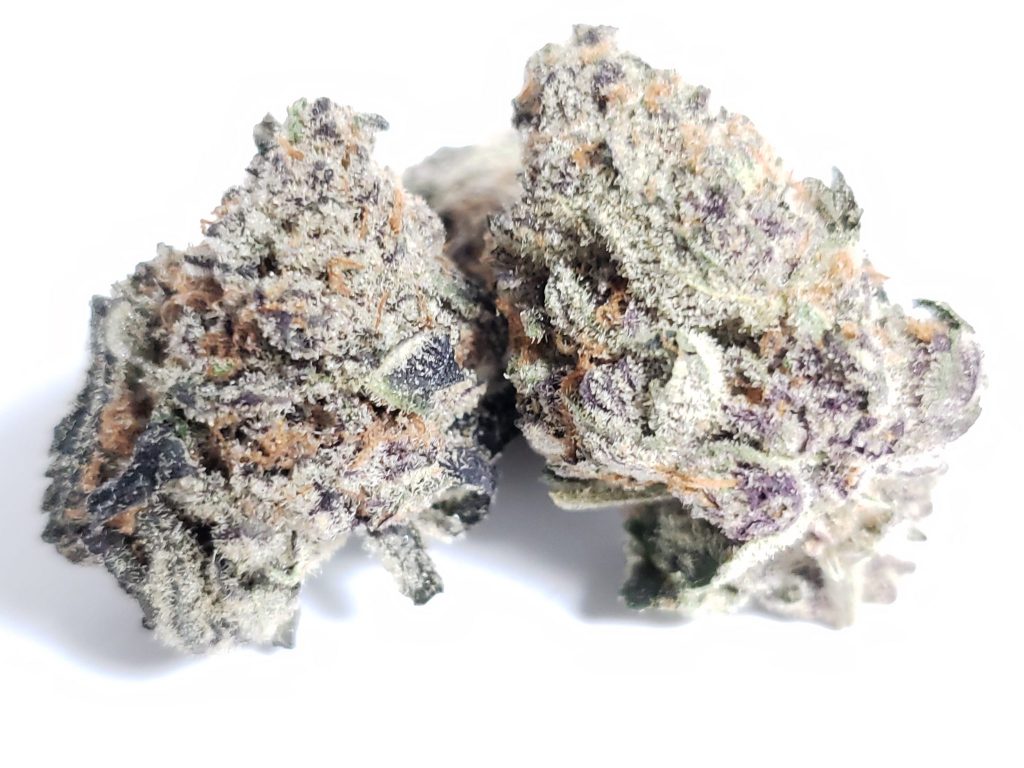 Sky High Exotics