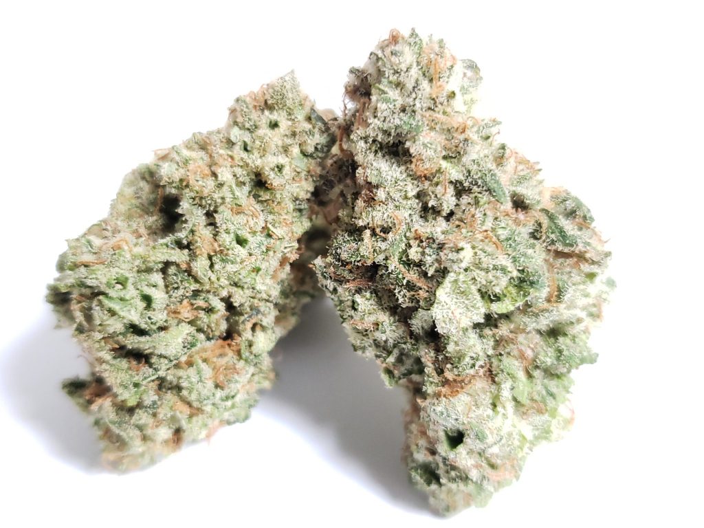Sky High Exotics