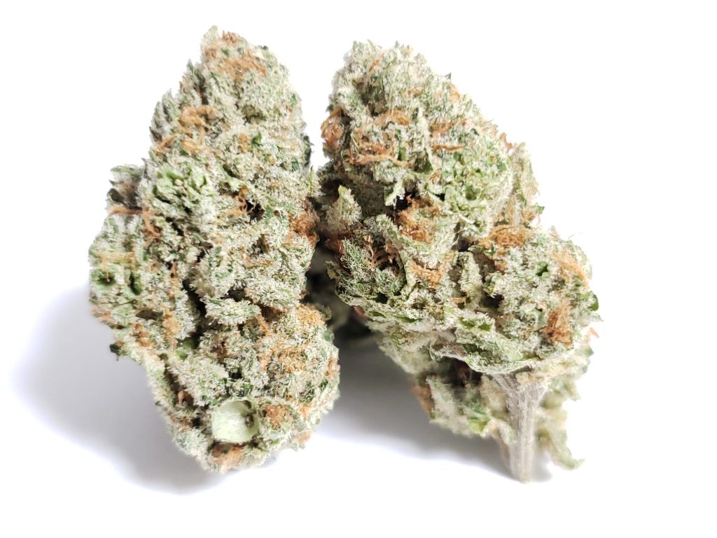 Sky High Exotics
