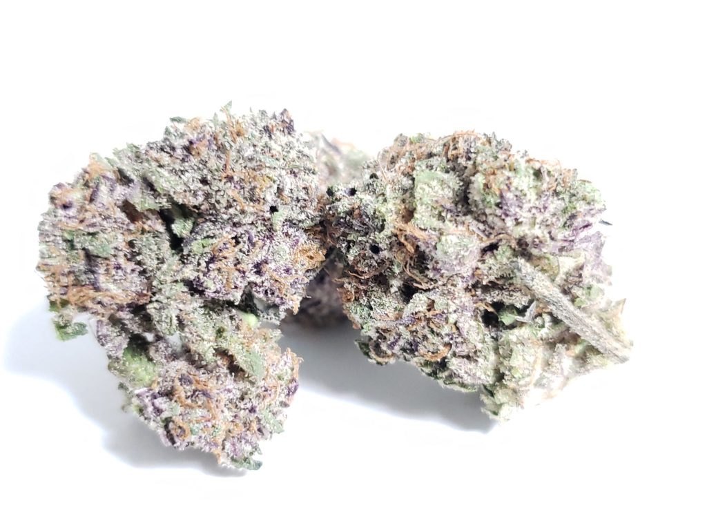 Sky High Exotics