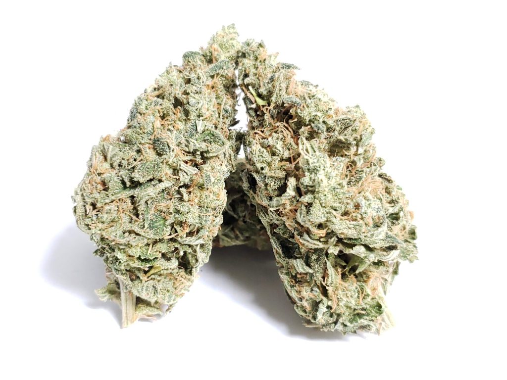 Sky High Exotics