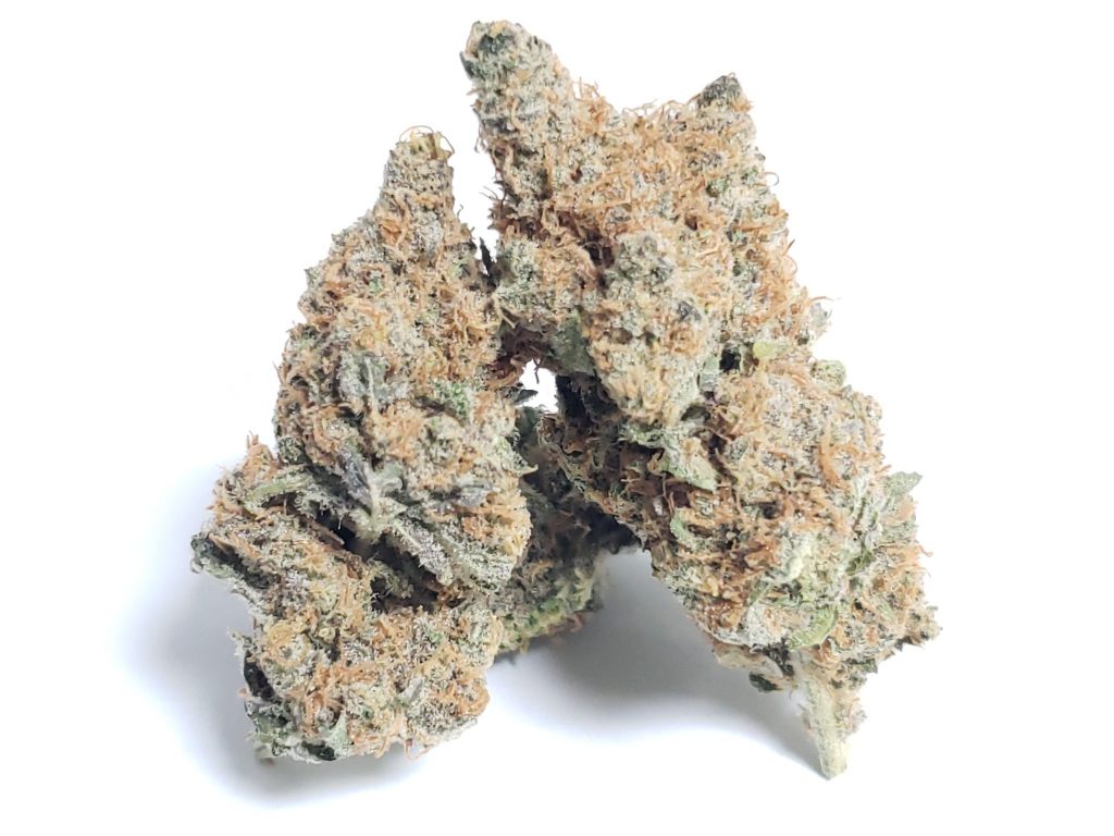 Sky High Exotics