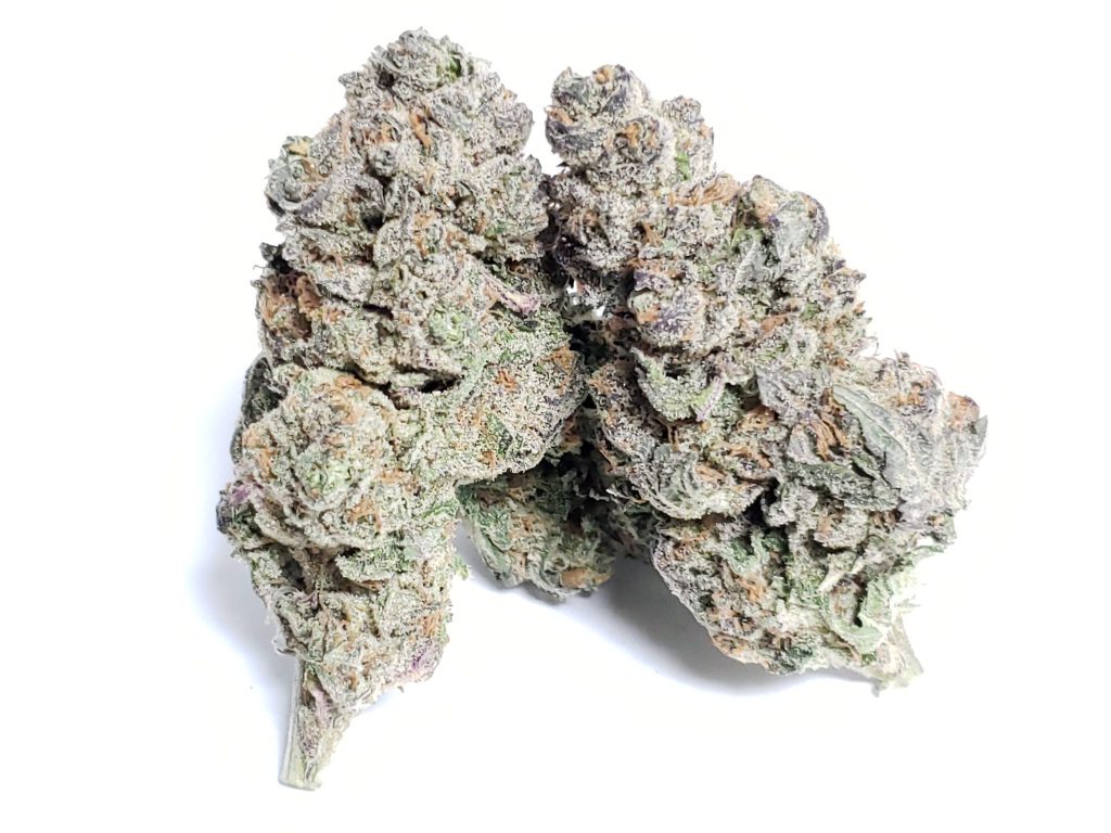 Sky High Exotics
