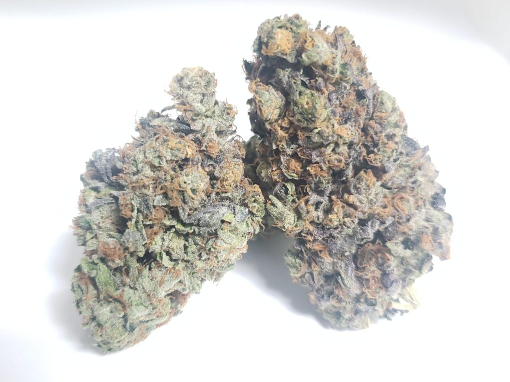 Sky High Exotics