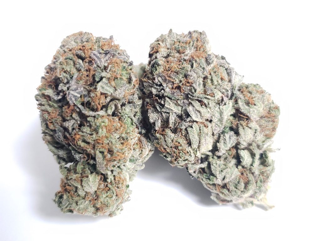 Sky High Exotics