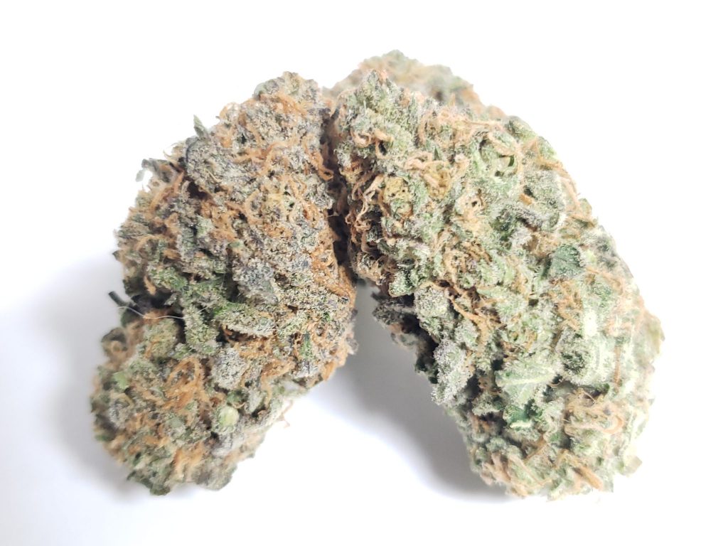 Sky High Exotics