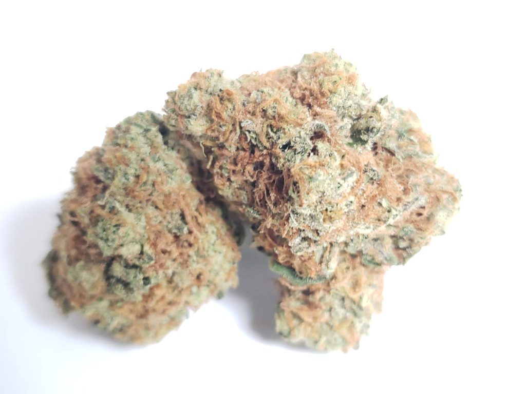Sky High Exotics