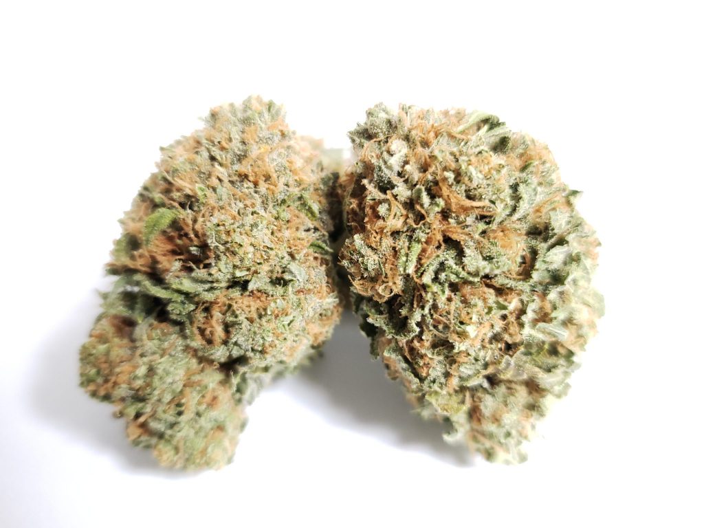 Sky High Exotics