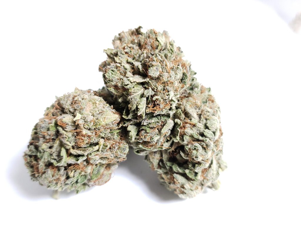 Sky High Exotics