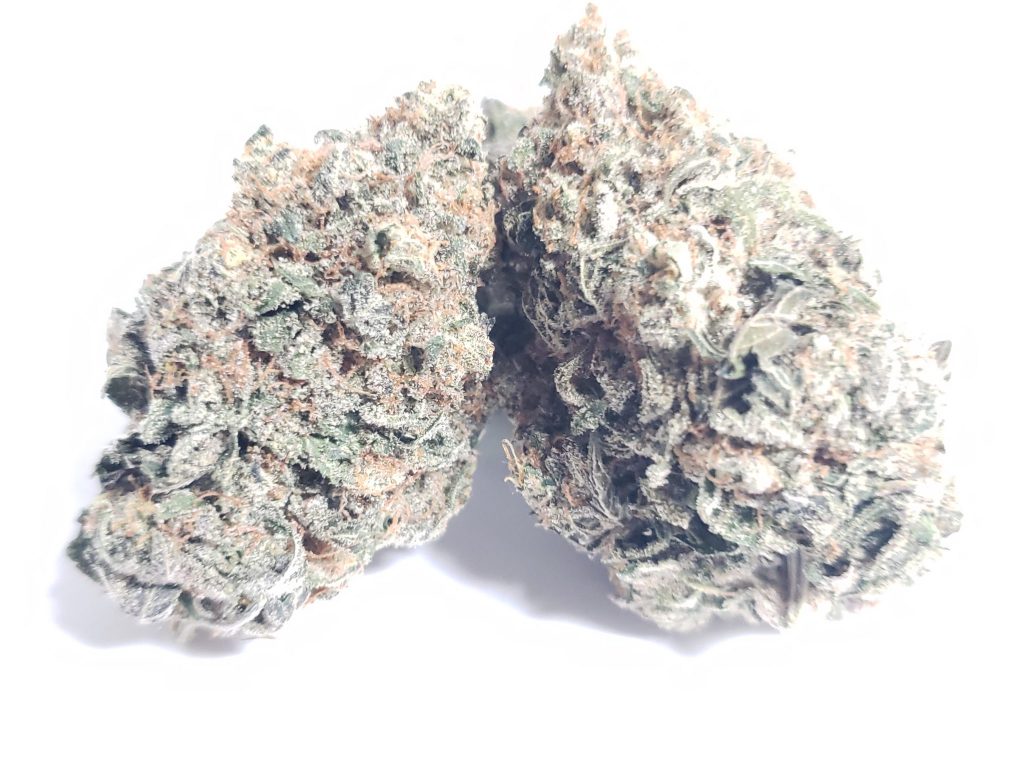 Sky High Exotics