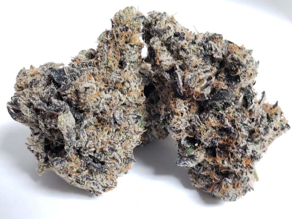 Sky High Exotics