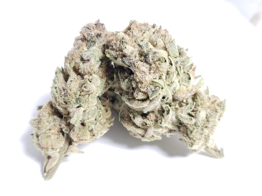 Sky High Exotics