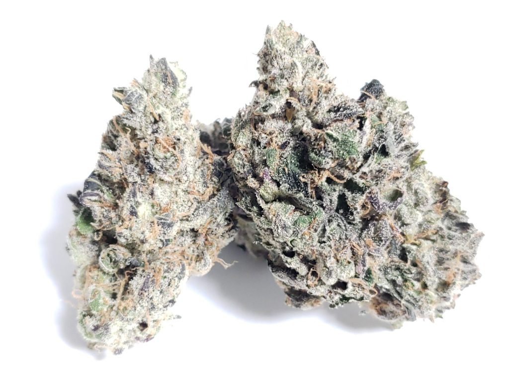 Sky High Exotics