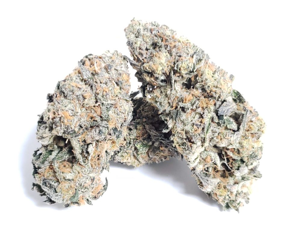 Sky High Exotics